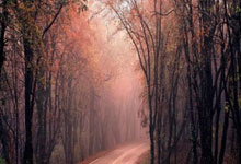 一竞技官网：德甲综合：拜仁两轮不胜 多特两连败.