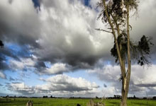 [NBA]常规赛2月2日：VS尼克斯 詹姆斯集锦.