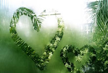 [法甲]第22轮：马赛VS圣埃蒂安.