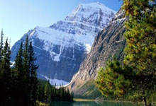 [NBA]布朗抢断击地传球 霍福德跟进双手暴扣.