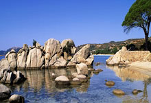 先禁赛，再捧杯，托纳利有机会成为下一个亿元先生？.